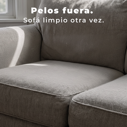 Menos Pelos en Casa desde el Primer Cepillado