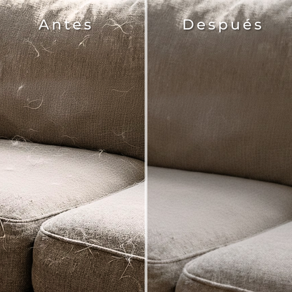 Menos Pelos en Casa desde el Primer Cepillado