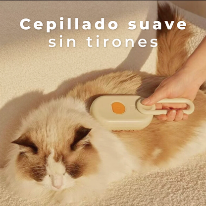 Menos Pelos en Casa desde el Primer Cepillado